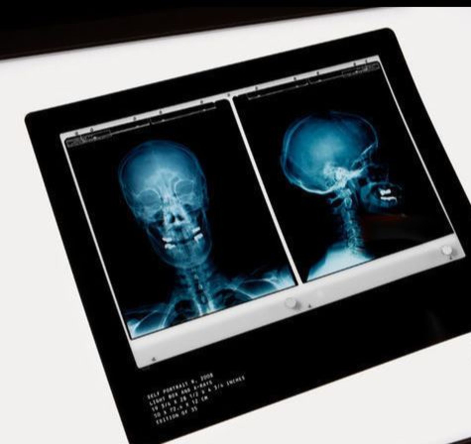 Damien Hirst Rx Sefportrait Published on the ocassion of exhibition Gagosian [...] - Bild 2 aus 4