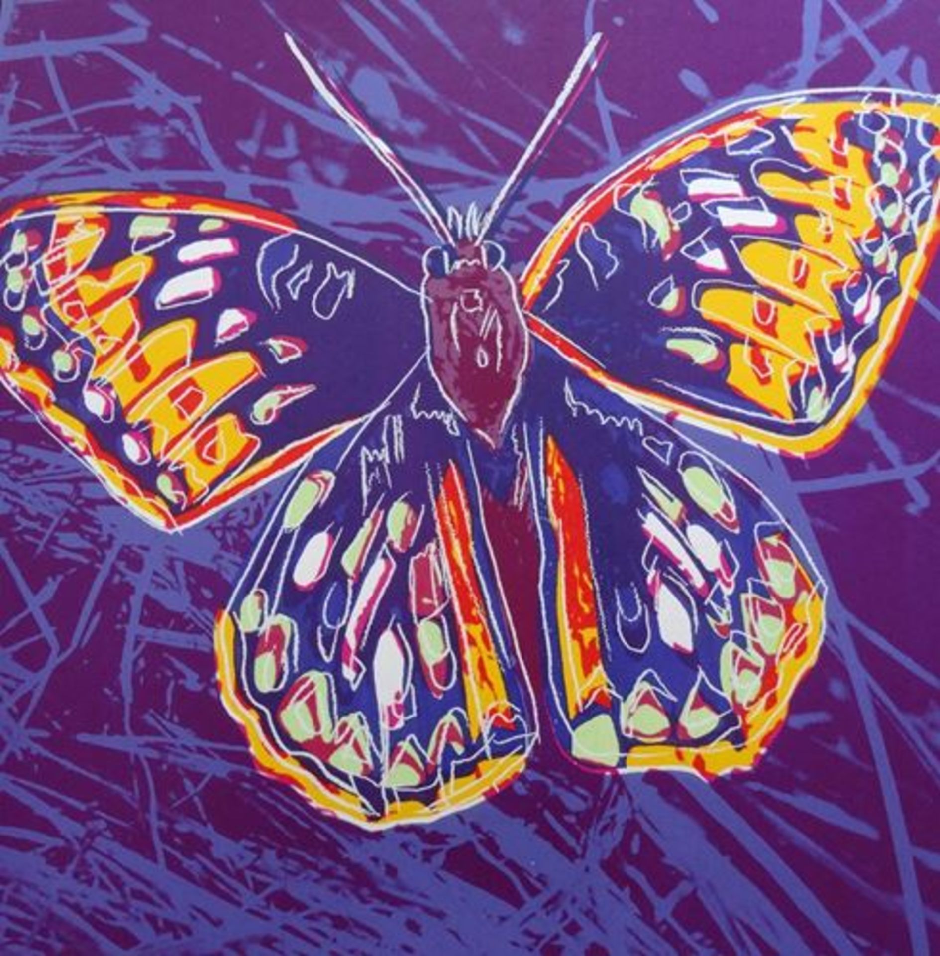 Andy Warhol (American, 1928-1987)(after) Butterfly, from 'Endangered Species'. Color [...]