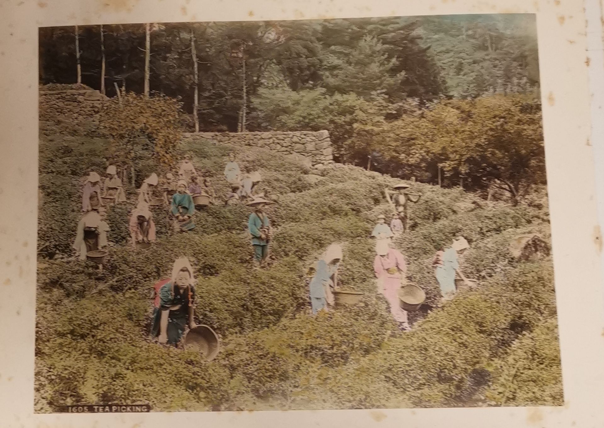 JAPON. Album de photos de S. OGAWA, école de Yokohama, comprenant 96 vues du Japon [...] - Bild 6 aus 11
