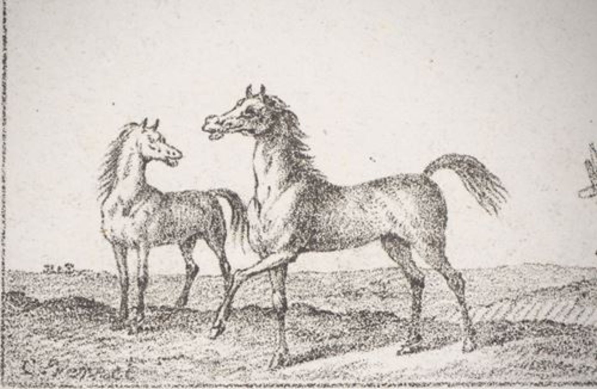 Charles-Antoine VERNET Croquis de chevaux Lot de quatre lithographies originales sur [...] - Bild 7 aus 9