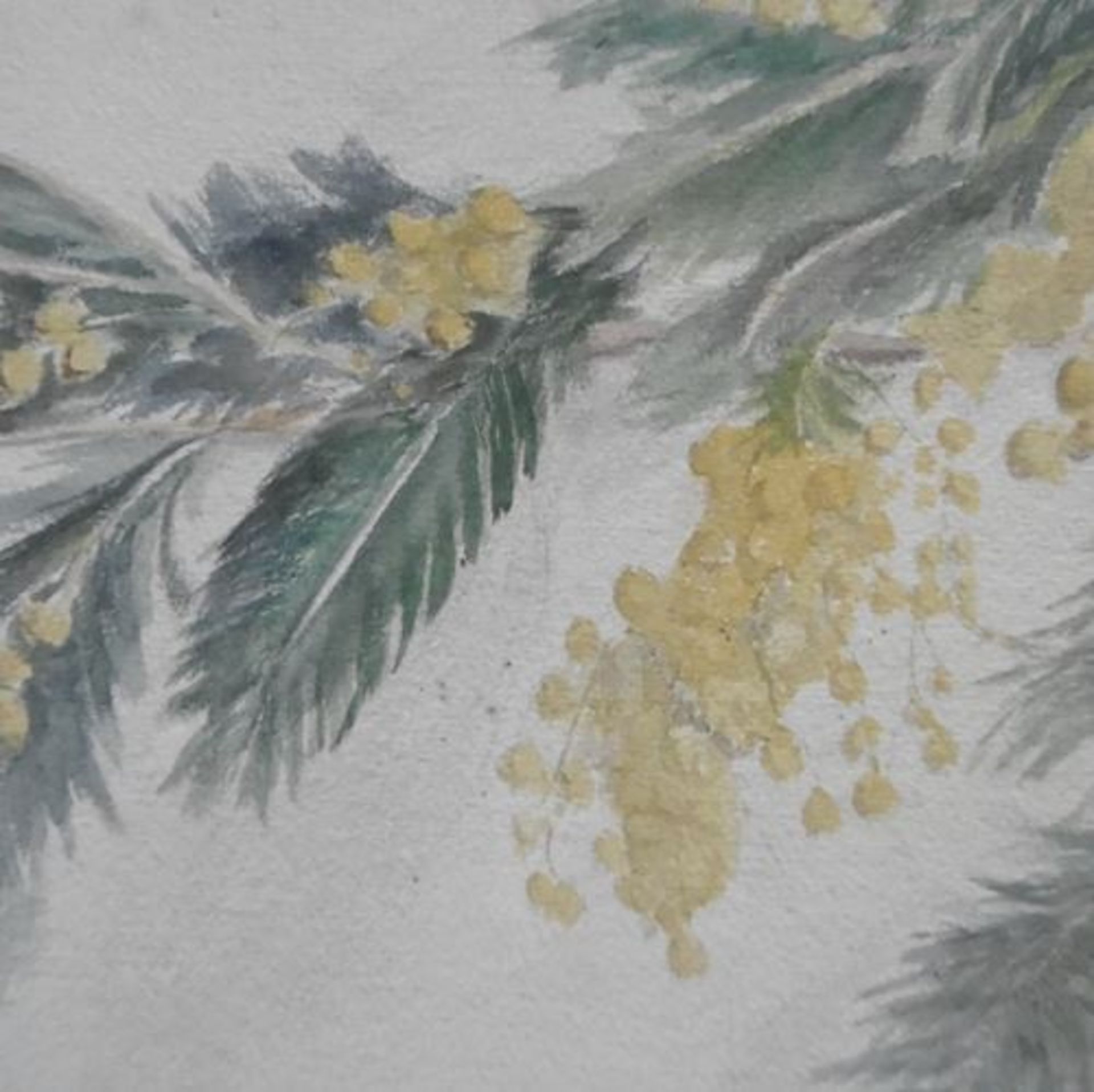 Maurice SAVIN Branche de Mimosa, 1912 Aquarelle signée et datée par [...] - Bild 4 aus 5