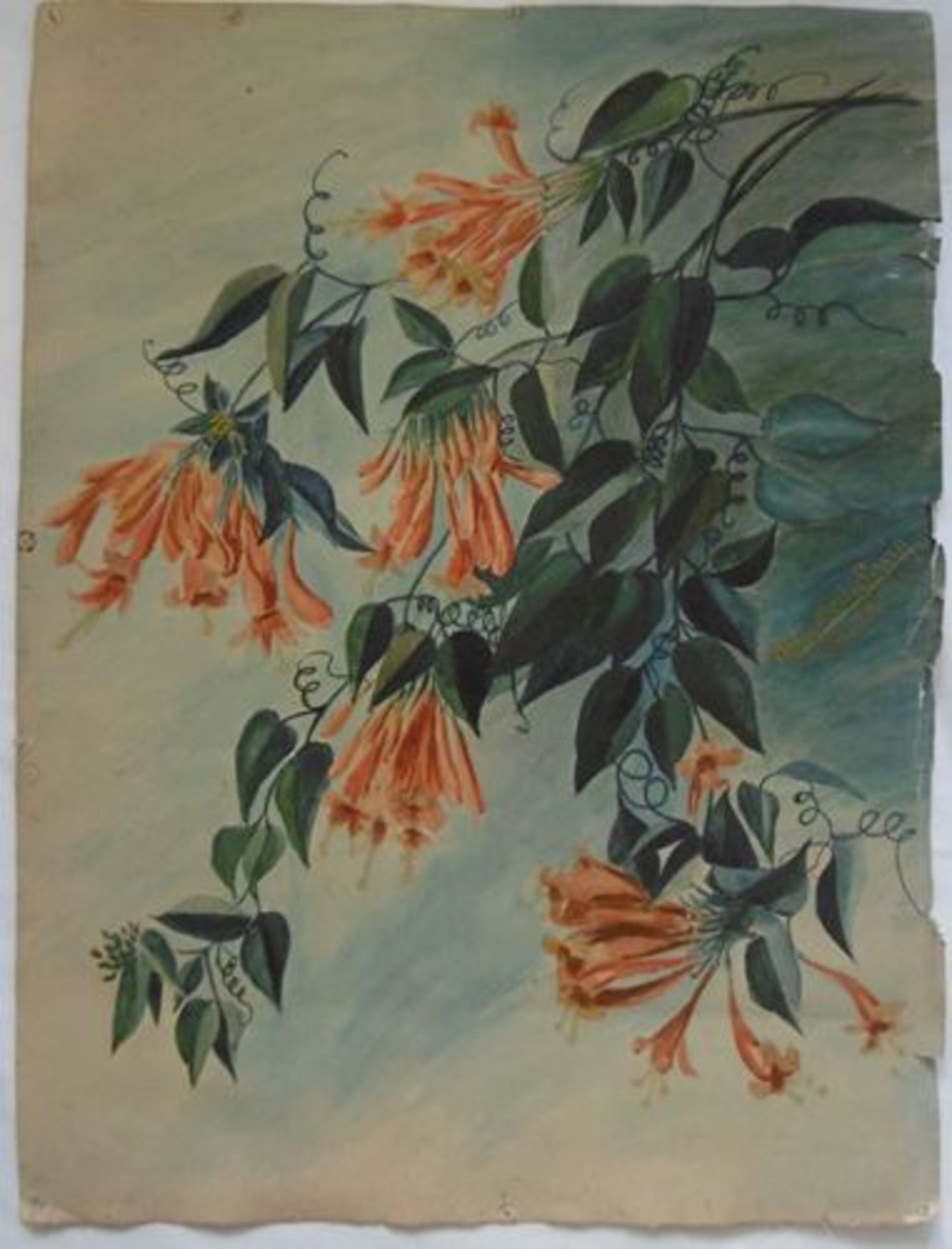 Alexandre Rigotard Marcel Savin Etude de Fleur Exotique, 1923 Aquarelle signée [...] - Bild 2 aus 6