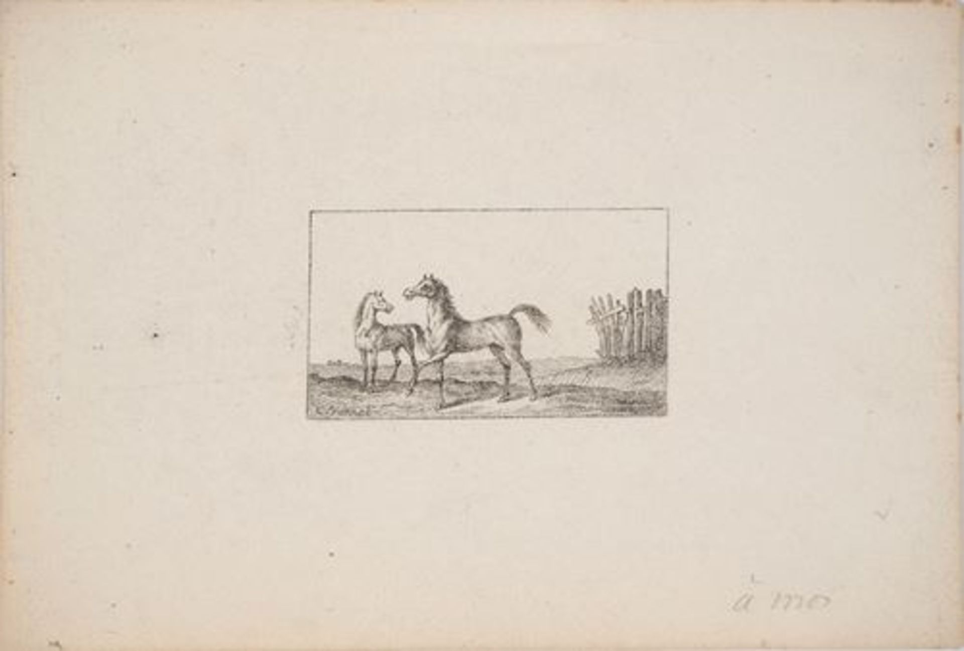 Charles-Antoine VERNET Croquis de chevaux Lot de quatre lithographies originales sur [...] - Bild 3 aus 9