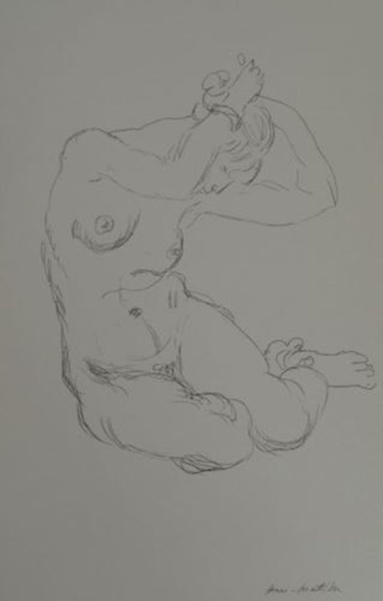 Henri Matisse (after) Nude Lithograph, signed in print 40 x 26 cm Sucession [...]