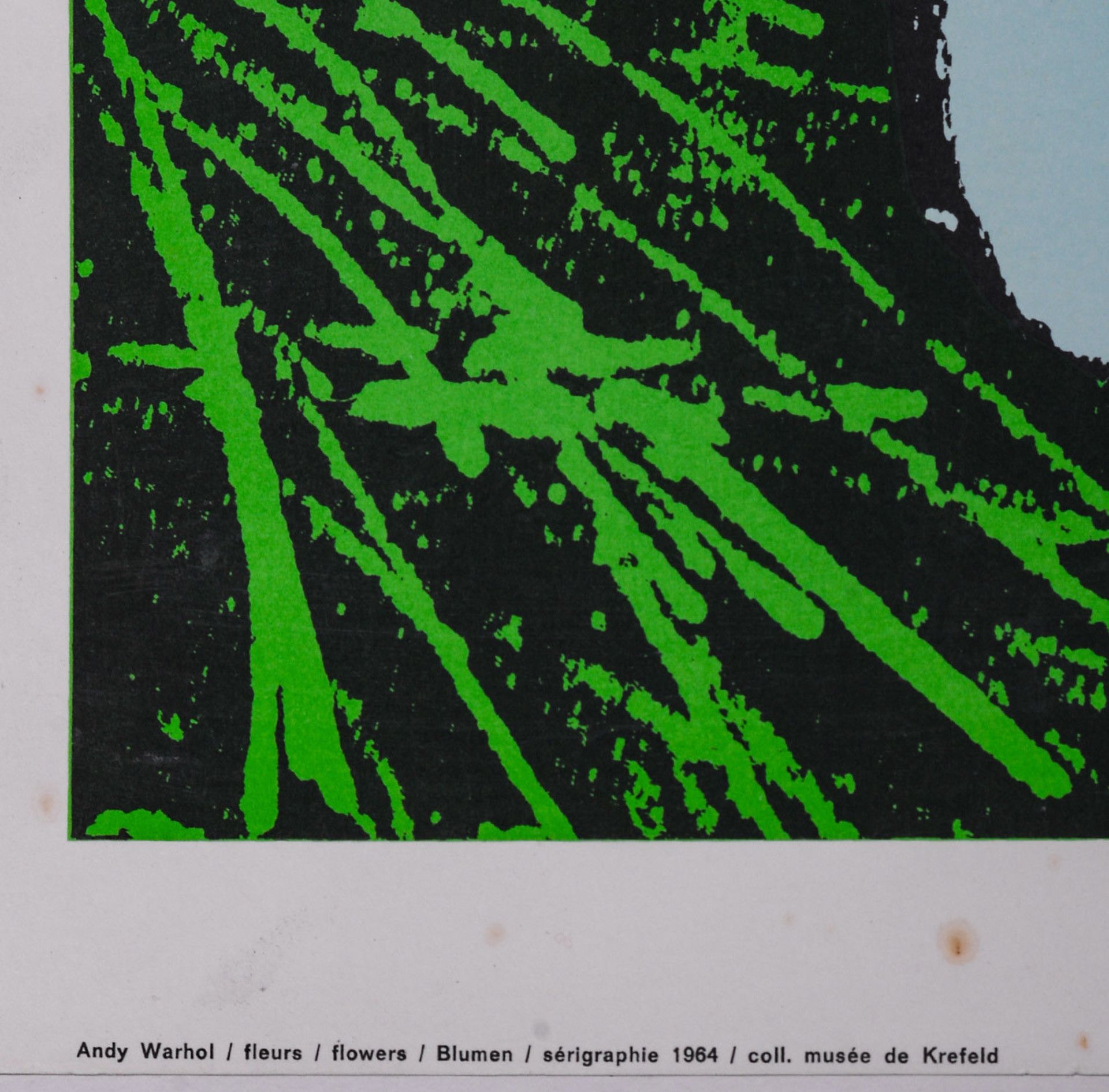Andy WARHOL (after) Flowers, 1971 Silkscreen poster in color on cream wove [...] - Bild 5 aus 5
