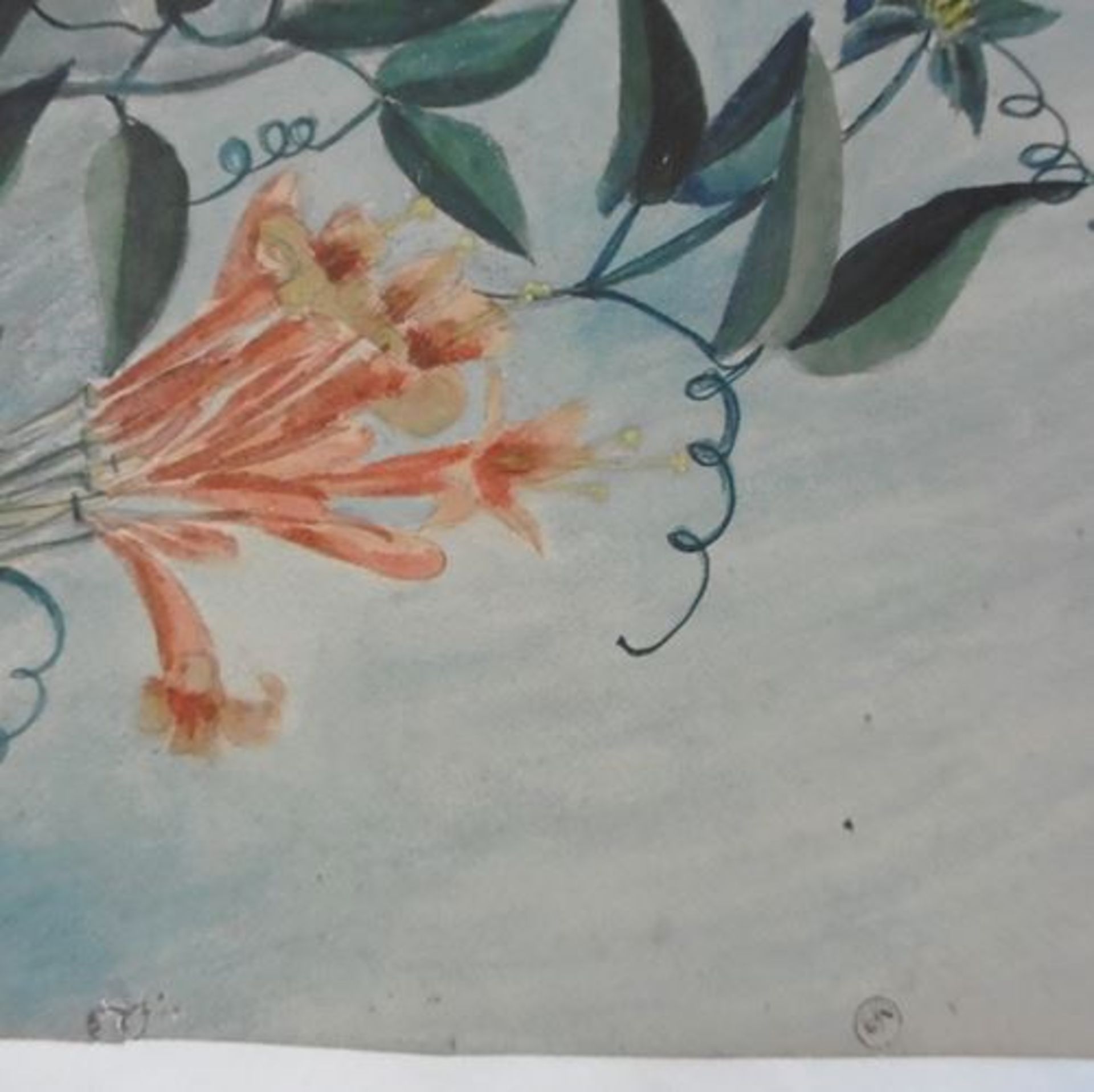 Alexandre Rigotard Marcel Savin Exotic Flower Study, 1923 Watercolour signed and [...] - Bild 6 aus 6