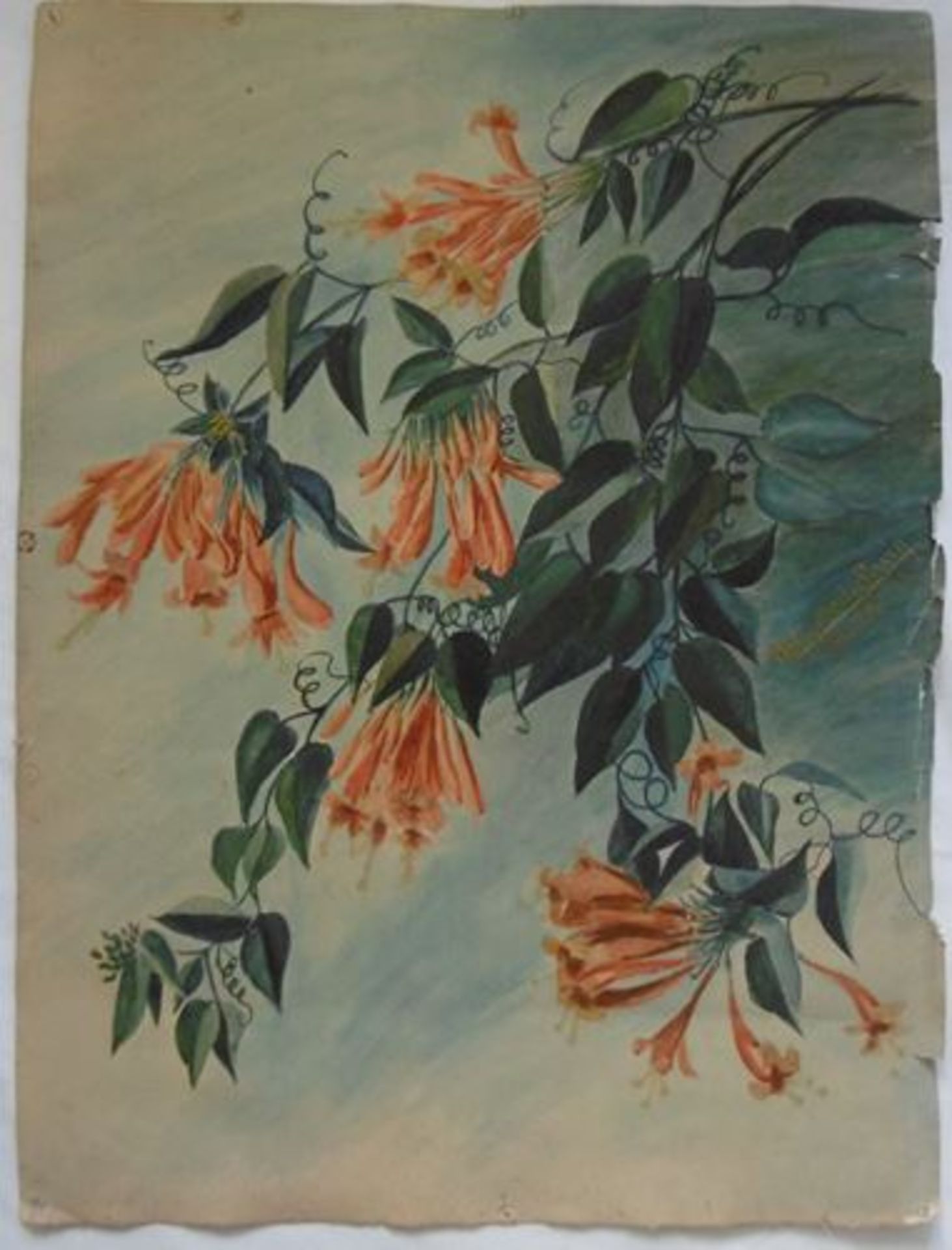 Alexandre Rigotard Marcel Savin Exotic Flower Study, 1923 Watercolour signed and [...] - Bild 2 aus 6