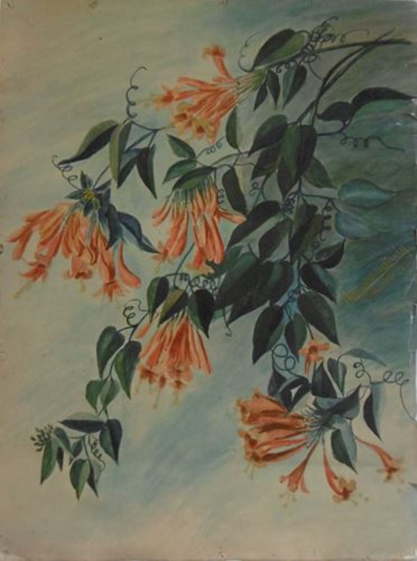 Alexandre Rigotard Marcel Savin Exotic Flower Study, 1923 Watercolour signed and [...]