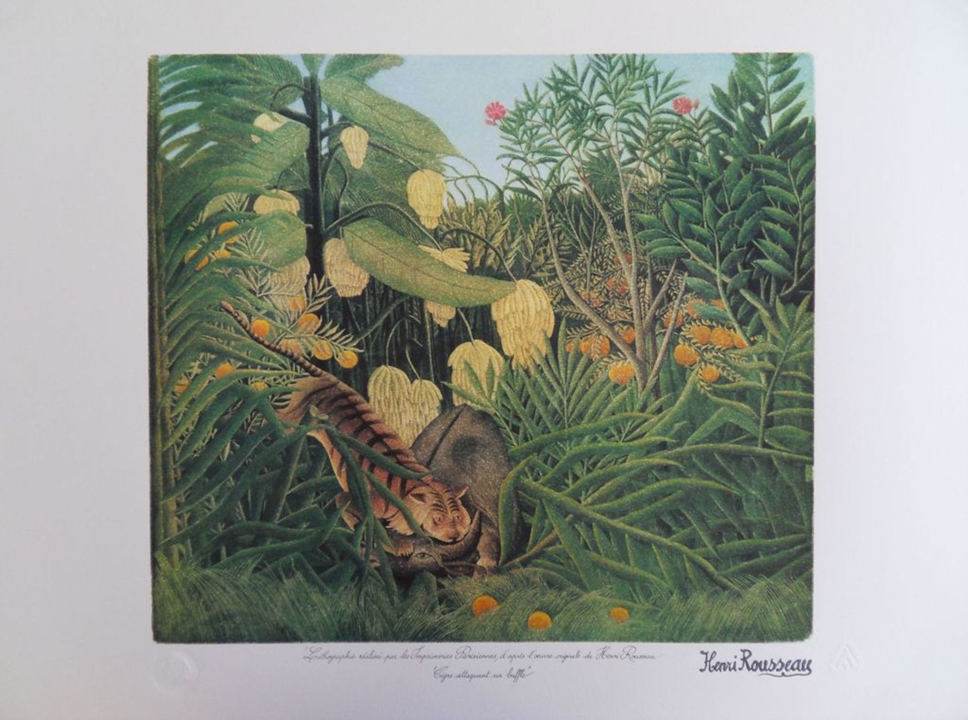 Le Douanier ROUSSEAU (Henri) (after) Tiger attacking a buffalo Original [...]