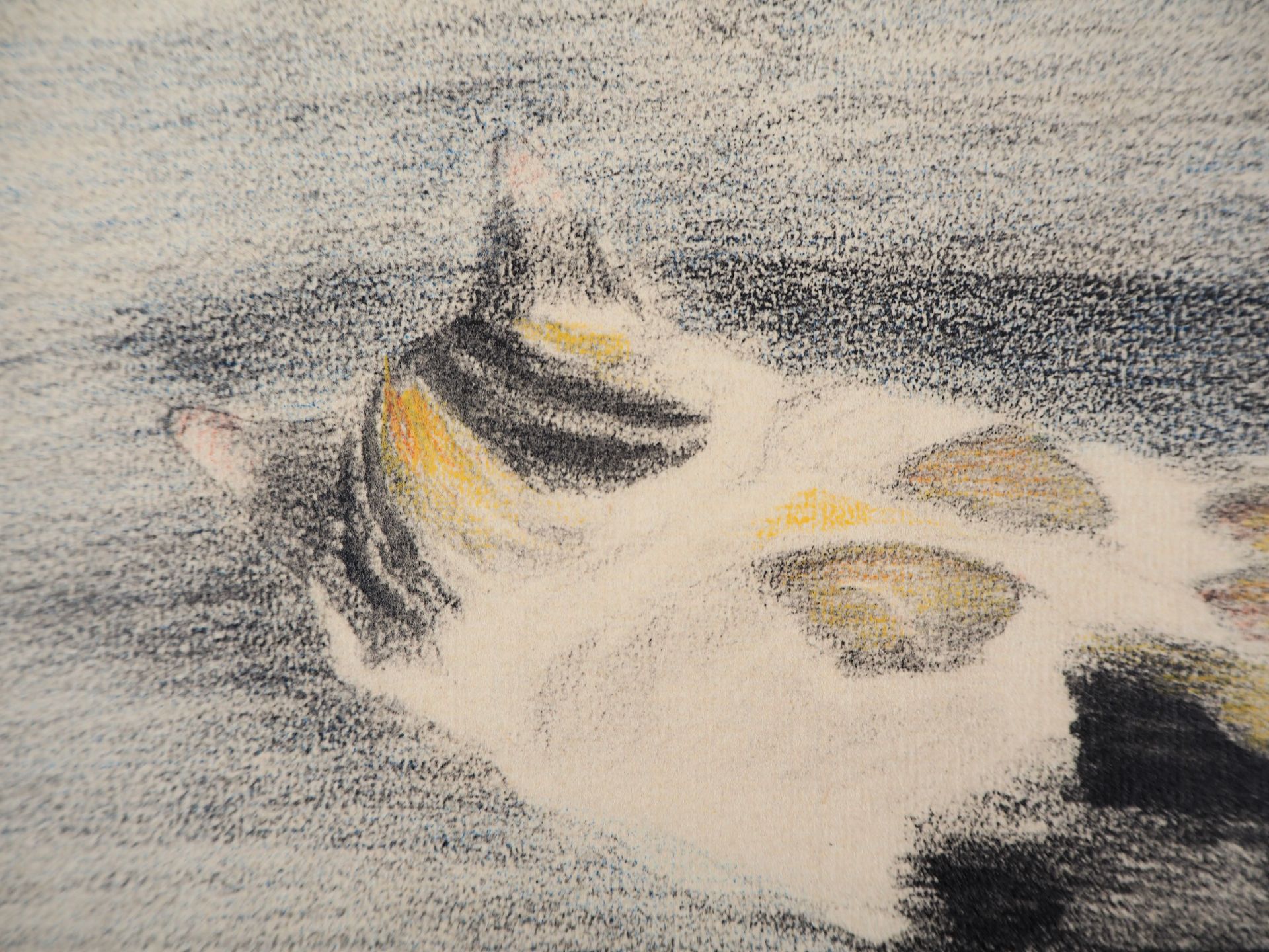 Théophile Alexandre Steinlen Chatte sur un lit, 1933 Lithograph on Vellum [...] - Bild 4 aus 4