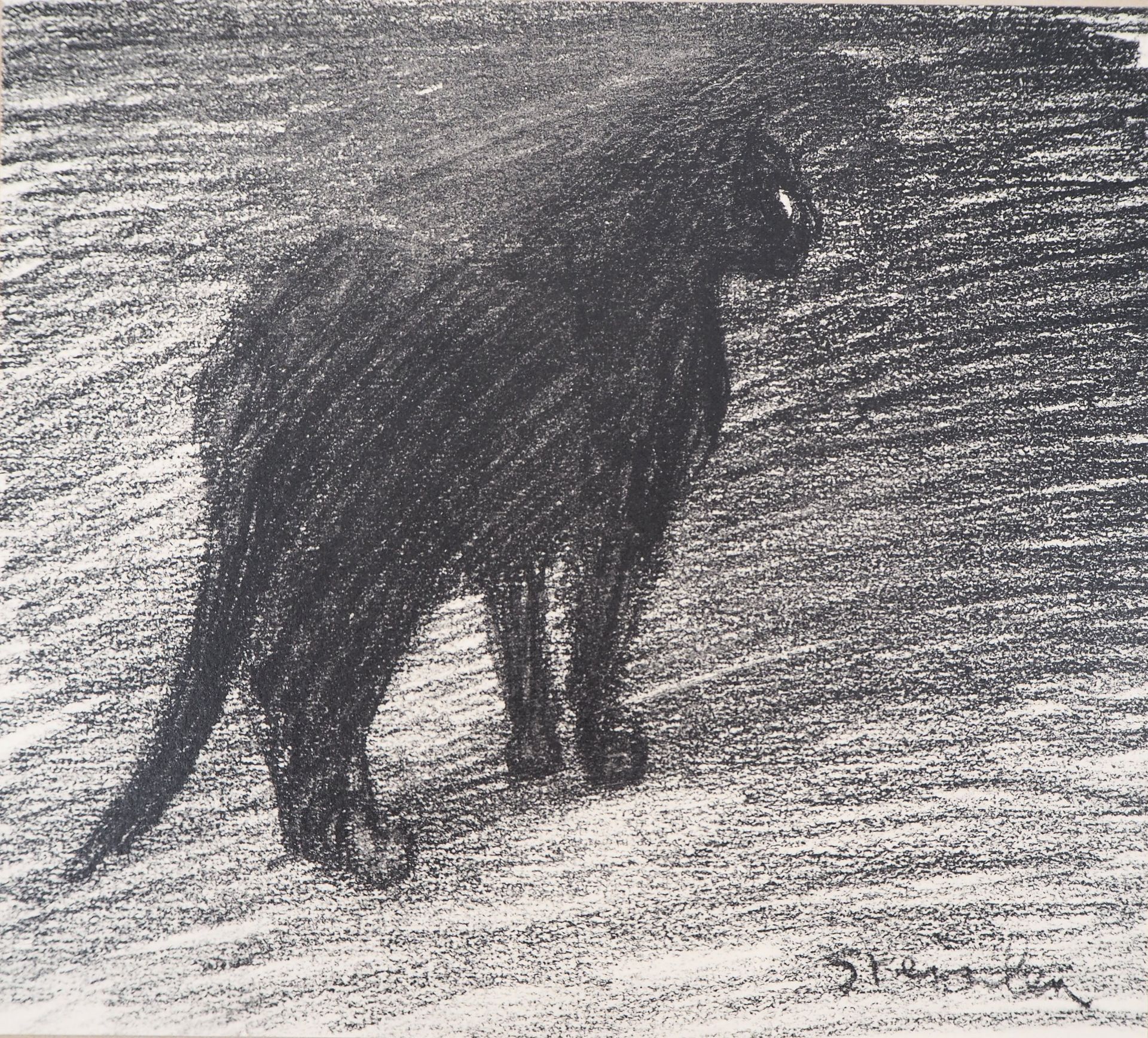 Théophile Alexandre Steinlen Le chat dans la nuit, 1933 Lithograph on Vellum [...]