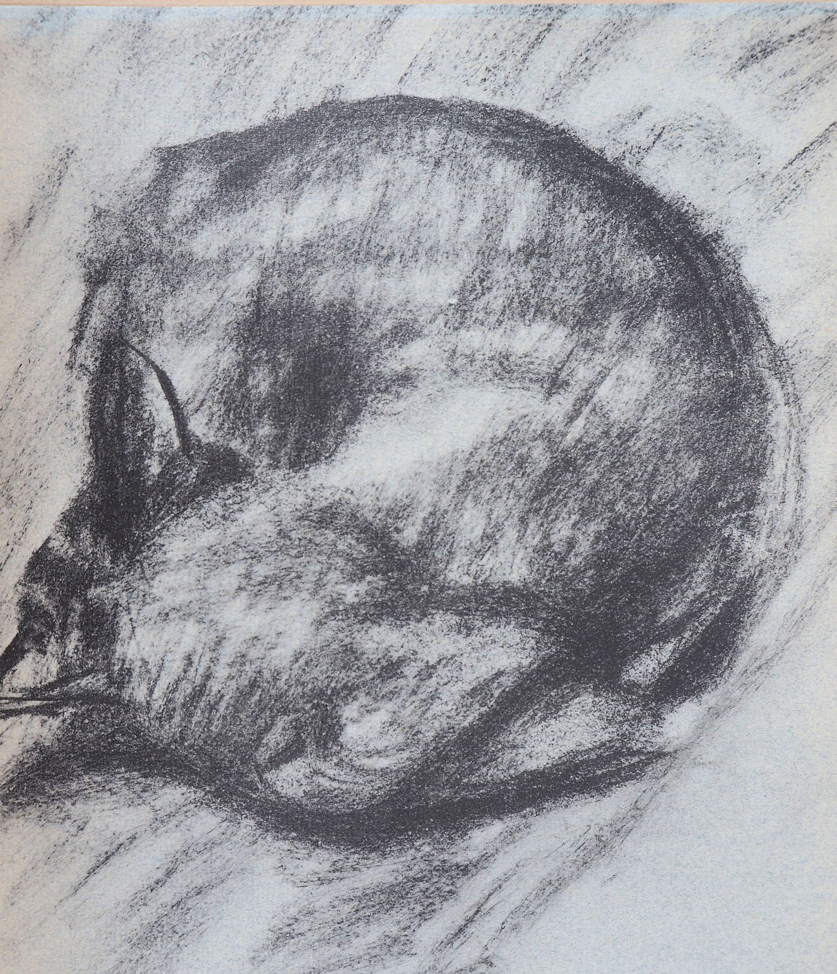 Théophile Alexandre STEINLEN The sleeping cat, 1933 Lithograph on vellum On thin [...]