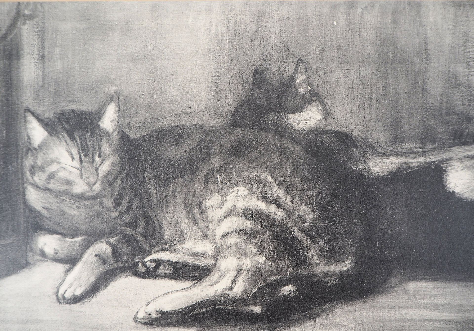 Théophile Alexandre STEINLEN Two cats on a bed, 1933 Lithograph on vellum Signed [...] - Bild 3 aus 6