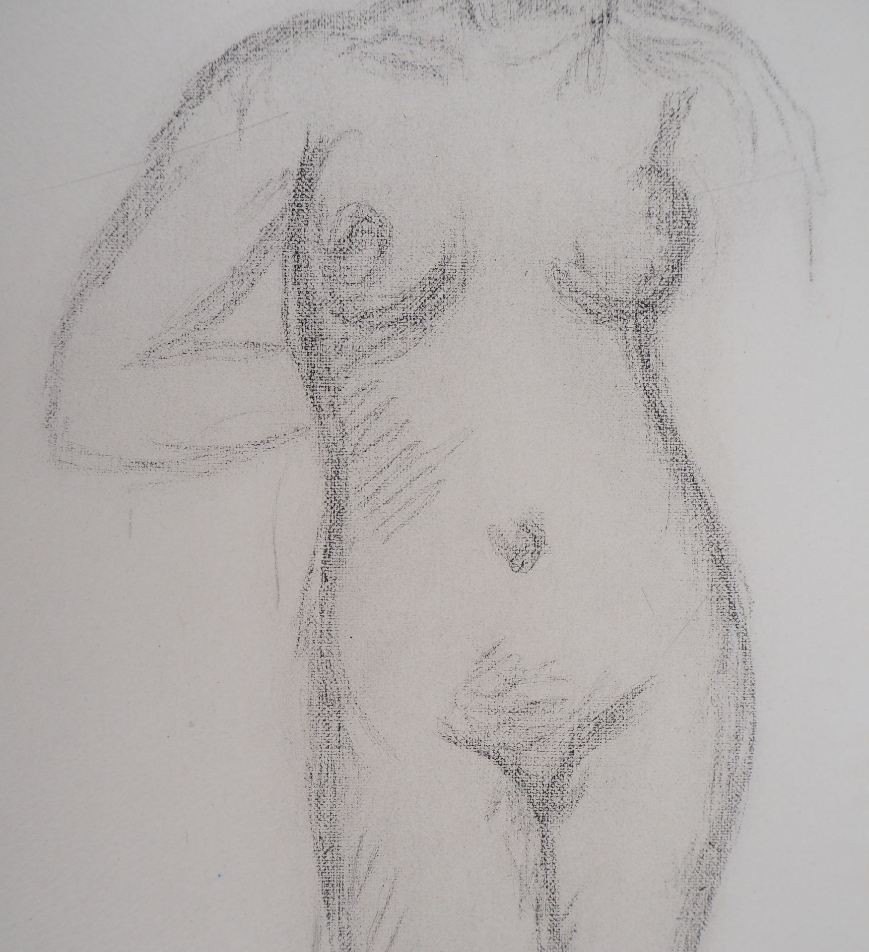 Aristide Maillol (after) Feminine nude, 1944 Lithograph after a drawing Signed in [...] - Bild 3 aus 5