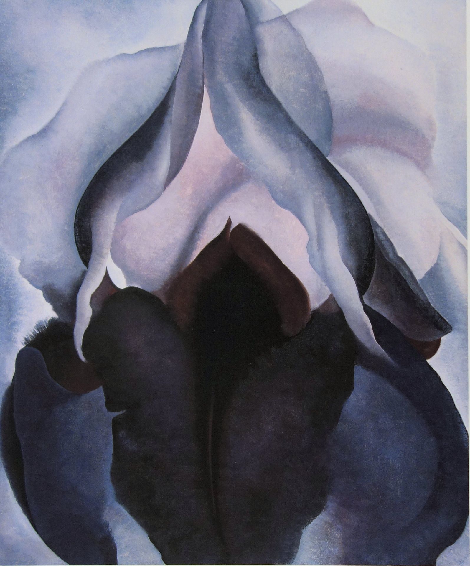Georgia O'KEEFFE Black Iris Lithograph Sommerset giclée on Sommerset 30 x 40 cm Dry [...] - Bild 2 aus 4