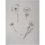 Jean Émile LABOUREUR Flower study, 1930 Original engraving Signed in pencil on the [...]