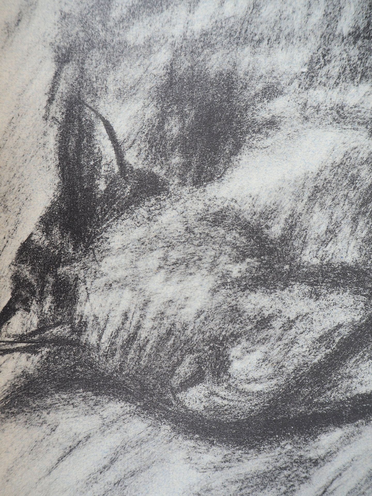 Théophile Alexandre STEINLEN The sleeping cat, 1933 Lithograph on vellum On thin [...] - Bild 2 aus 2