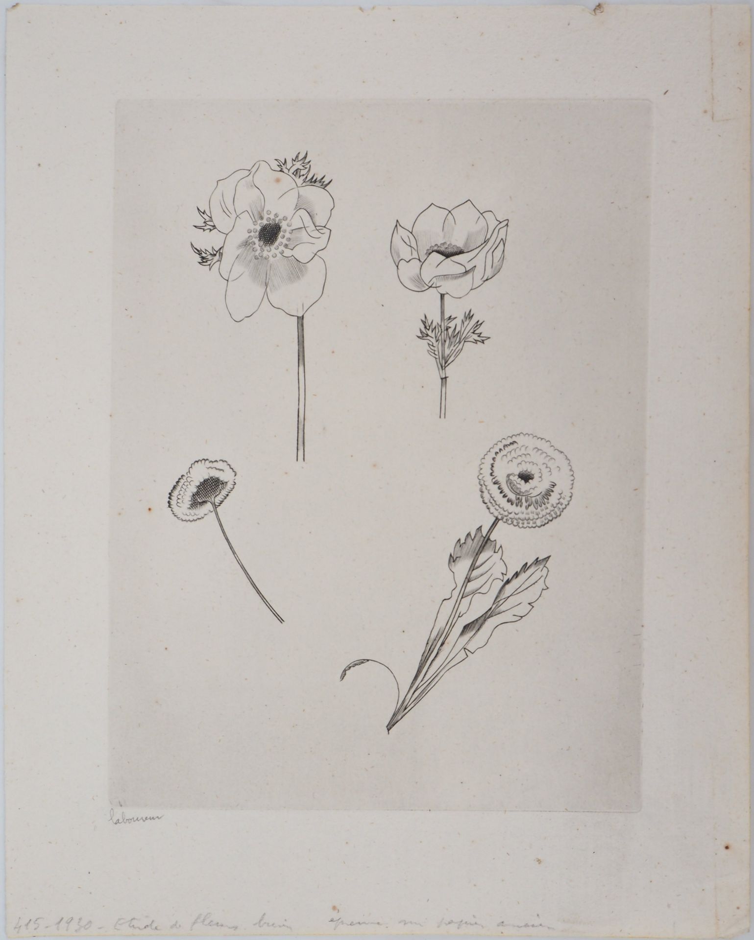 Jean Émile LABOUREUR Flower study, 1930 Original engraving Signed in pencil on the [...] - Bild 2 aus 6