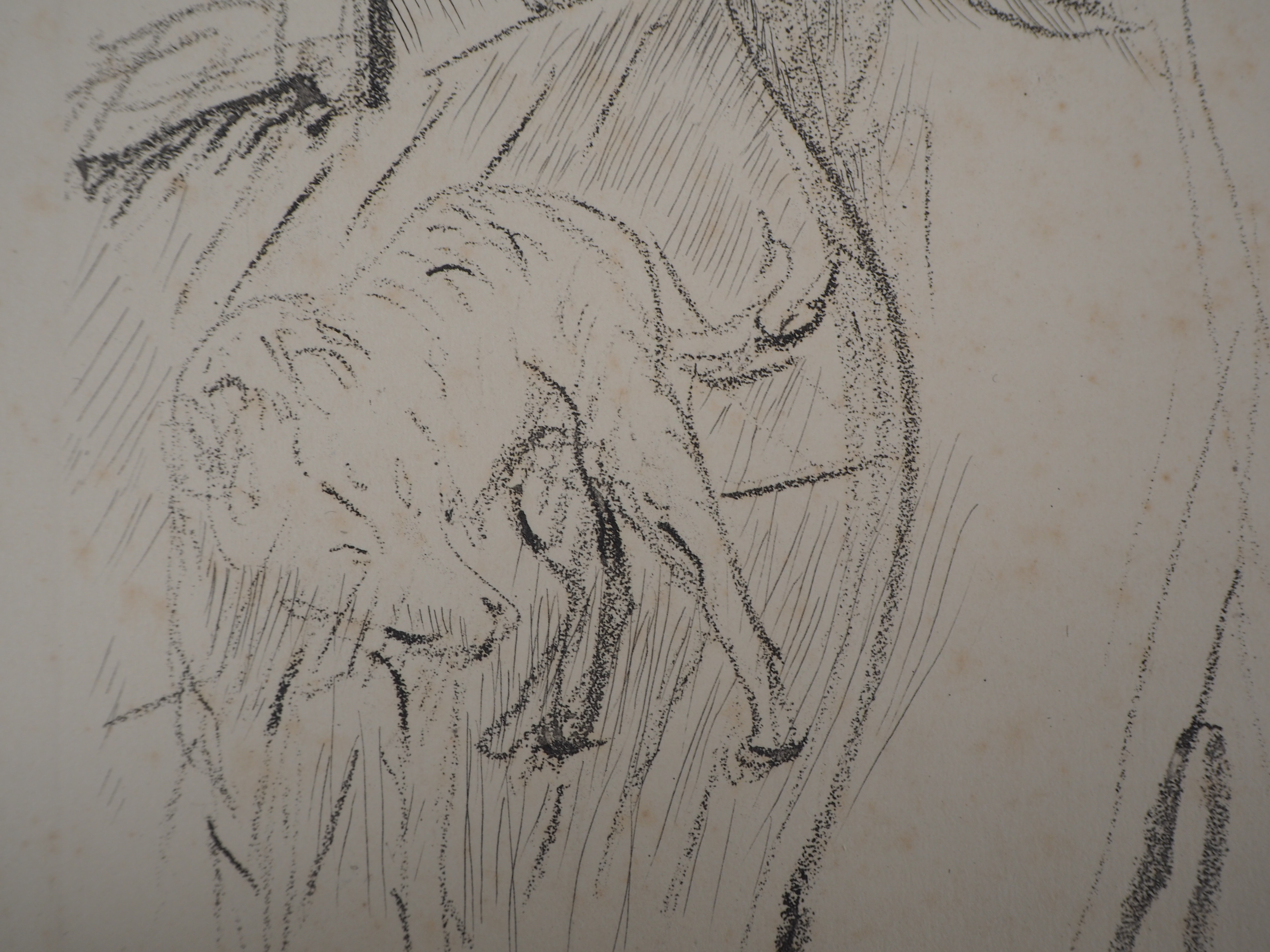 Pierre BONNARD Gentleman and his dog Lithograph Signed in the plate On fine Vellum [...] - Image 4 of 5