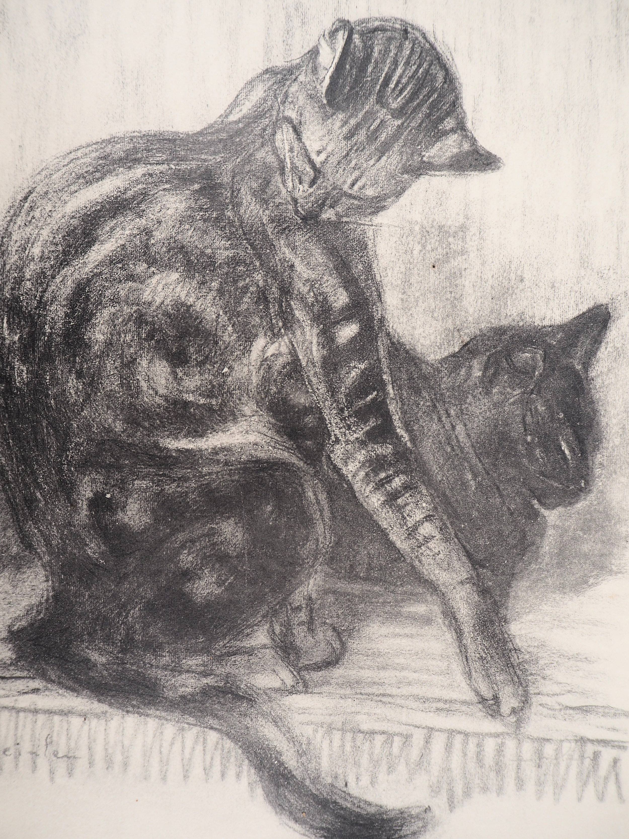 Théophile Alexandre STEINLEN Two elegant cats,1933 Lithograph on vellum Signed in [...] - Image 3 of 5