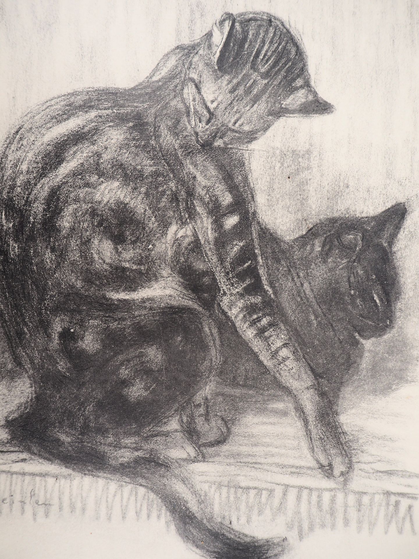 Théophile Alexandre STEINLEN Two elegant cats,1933 Lithograph on vellum Signed in [...] - Bild 3 aus 5