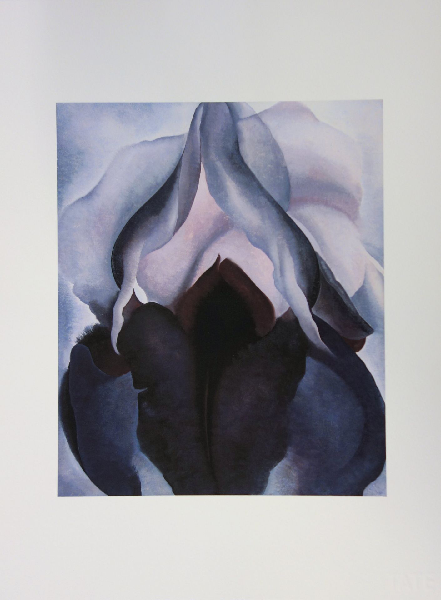 Georgia O'KEEFFE Black Iris Lithograph Sommerset giclée on Sommerset 30 x 40 cm Dry [...]
