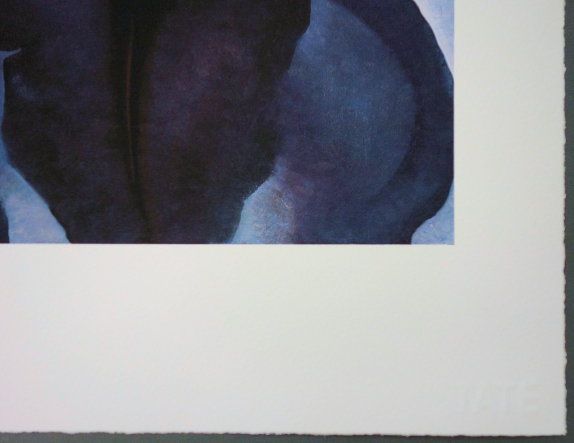 Georgia O'KEEFFE Black Iris Lithograph Sommerset giclée on Sommerset 30 x 40 cm Dry [...] - Bild 4 aus 4