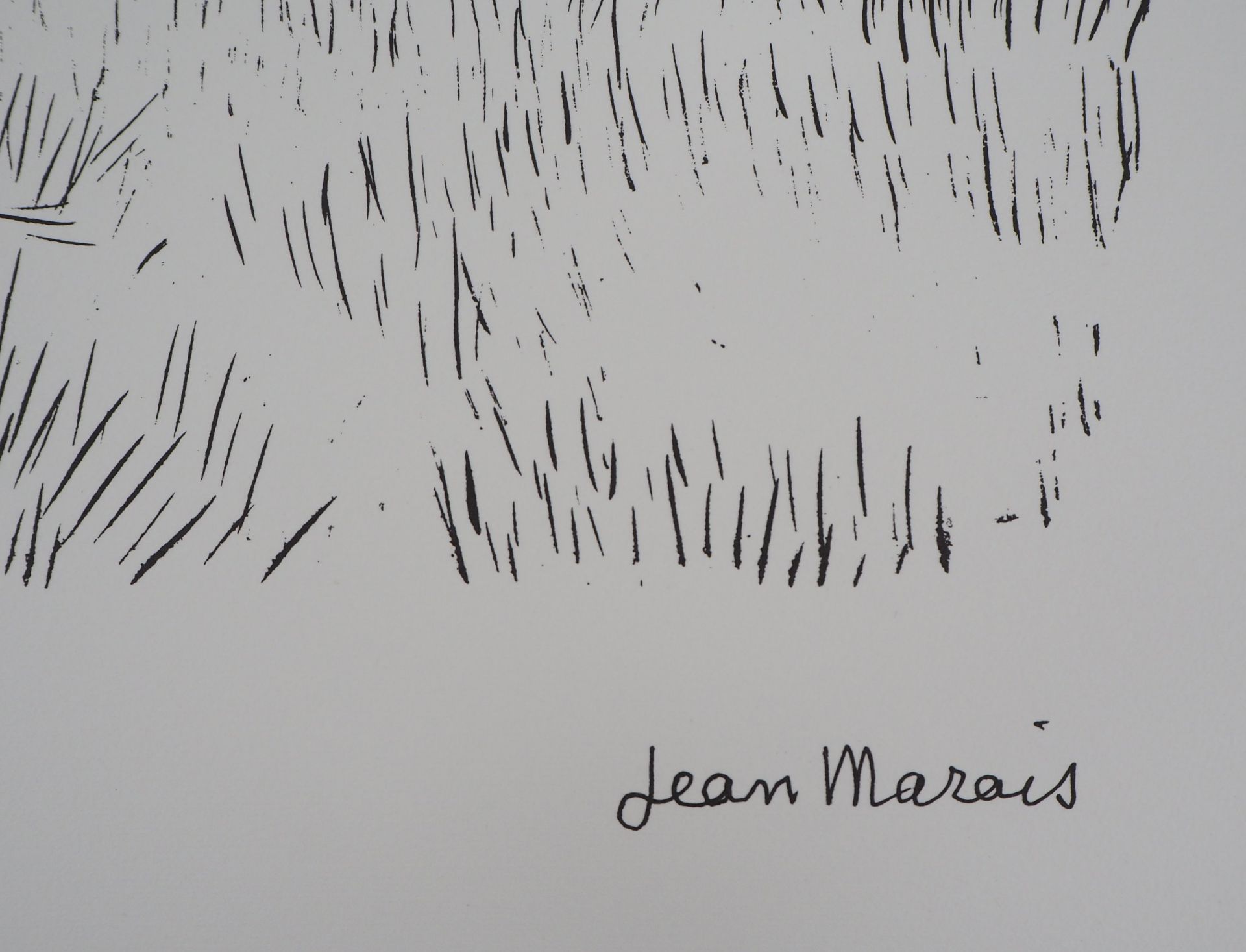 Jean Marais The face of the tree Lithograph Signed with the stamp of the [...] - Bild 2 aus 8