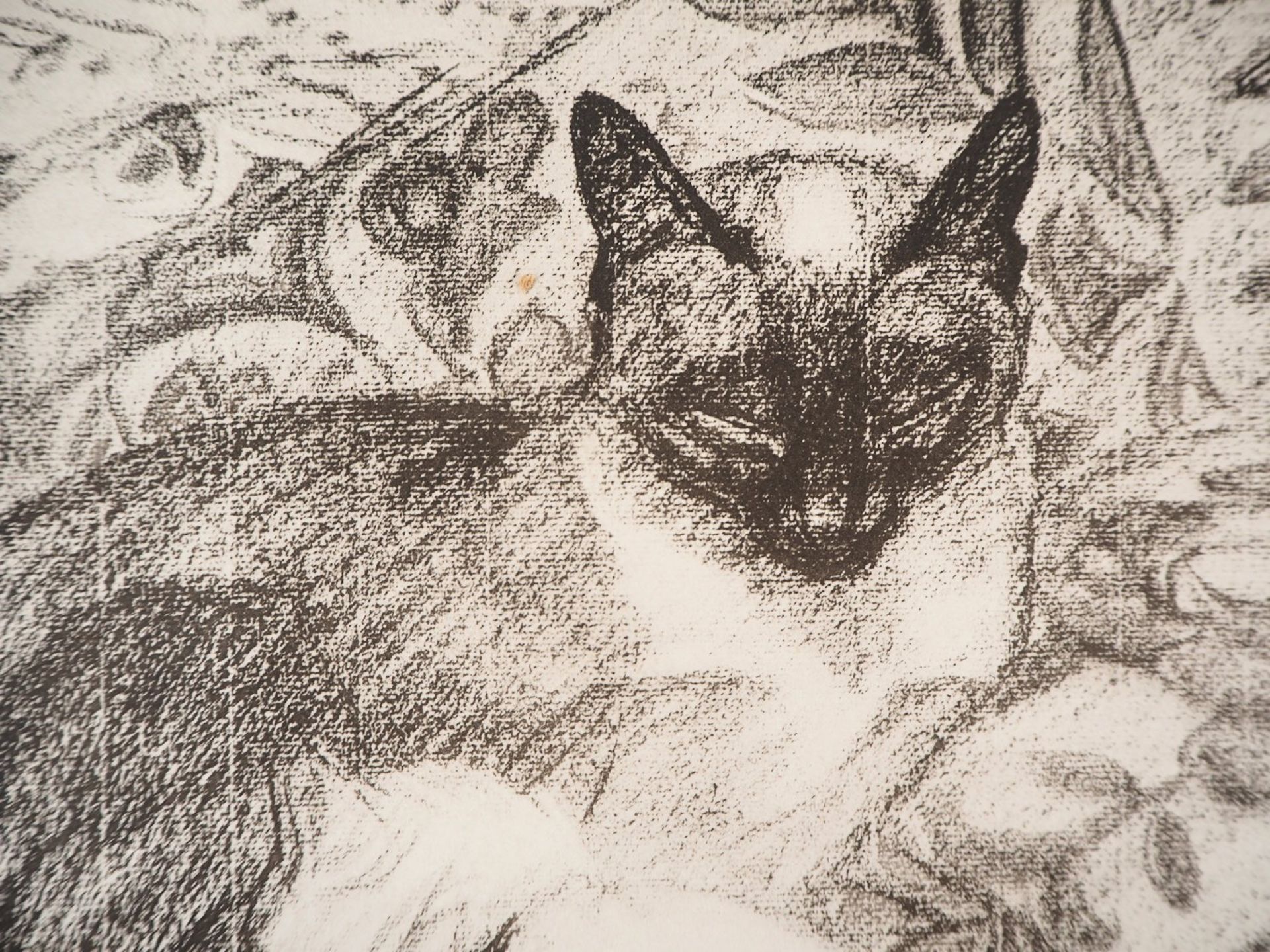 Théophile Alexandre Steinlen The Siamese Cat, 1933 Lithograph on Vellum Signed in [...] - Bild 4 aus 5