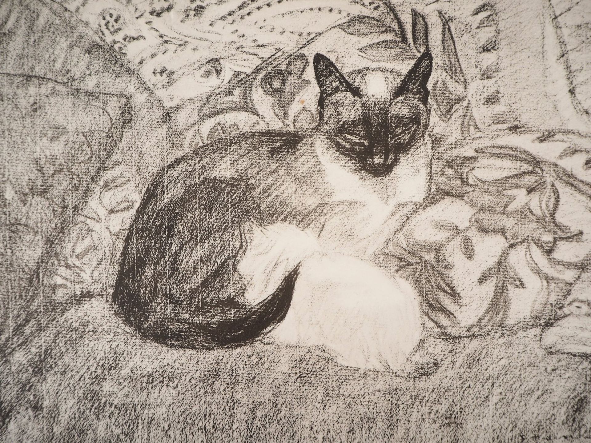 Théophile Alexandre Steinlen The Siamese Cat, 1933 Lithograph on Vellum Signed in [...] - Bild 3 aus 5