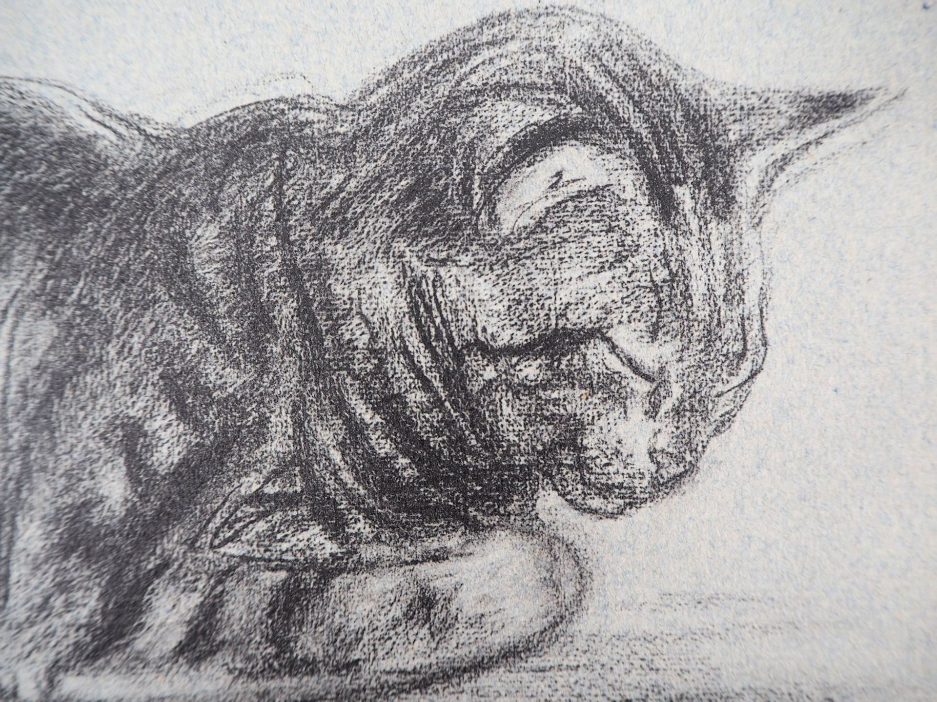 Théophile Alexandre Steinlen The Tabby Cat, 1933 Lithograph on Vellum Signed in the [...] - Bild 4 aus 5