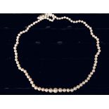 Collier de perles, fermoir ovale en or guilloché. Poids : 14,8 g. -