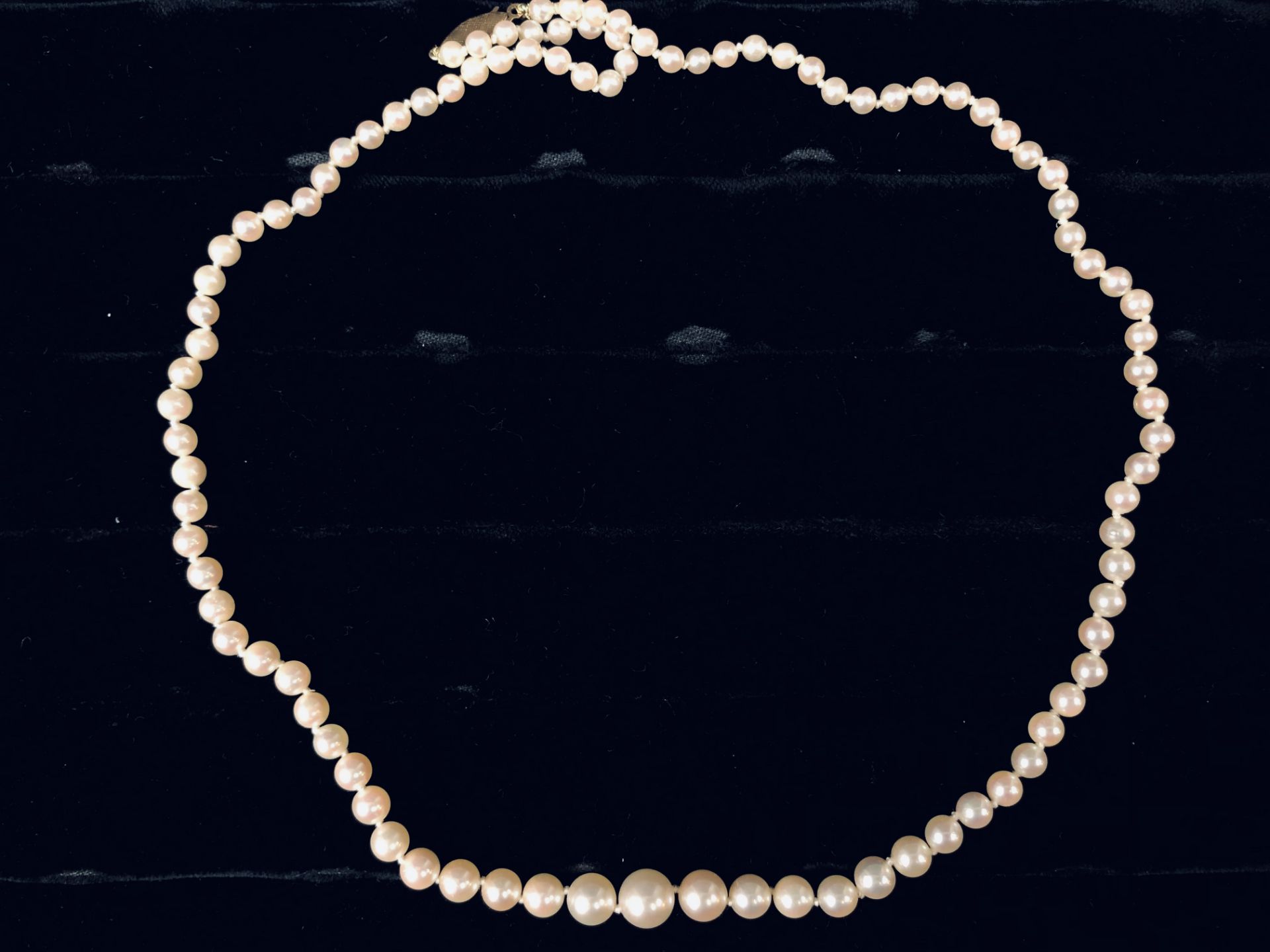 Collier de perles, fermoir ovale en or guilloché. Poids : 14,8 g. -