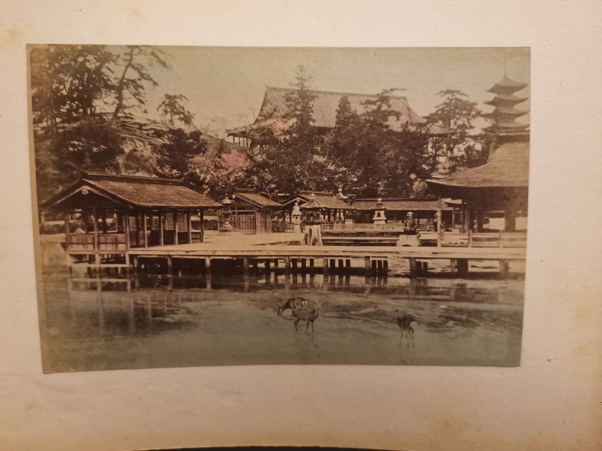 JAPON. Album accordéon comprenant 38 photographies dont scène de marché, homme [...] - Bild 5 aus 8