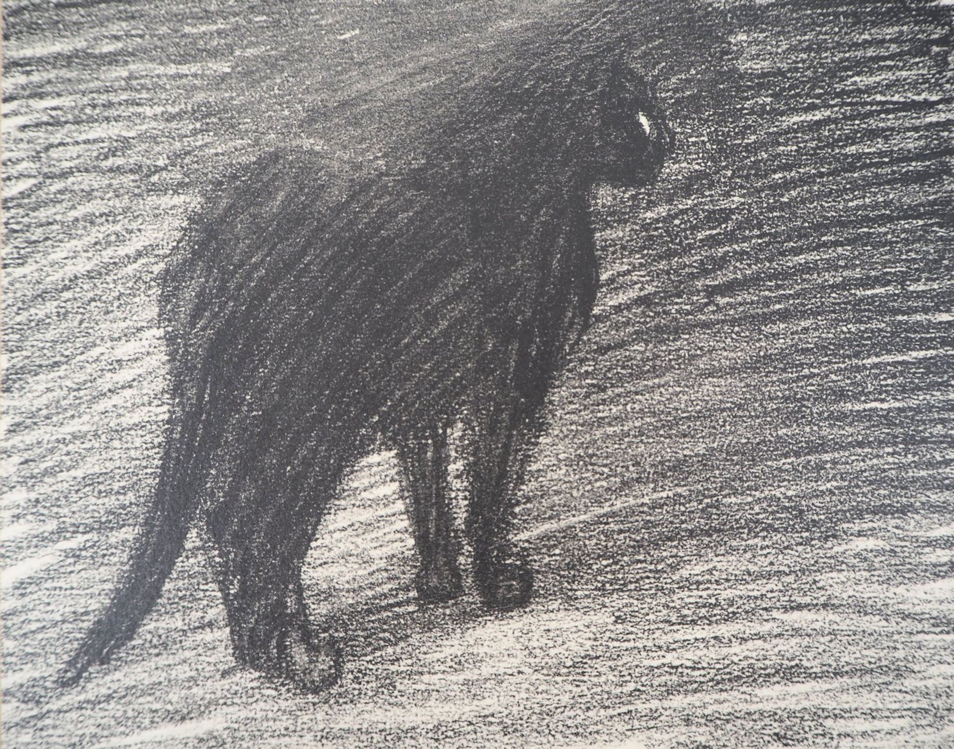 Théophile Alexandre Steinlen Le chat dans la nuit, 1933 Lithograph on Vellum [...] - Bild 5 aus 5