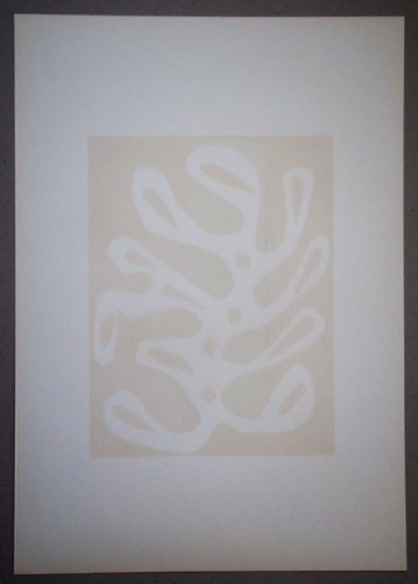 HENRI MATISSE (after) Seaweed on red and green background, 1965 Lithographie in 2 [...] - Bild 8 aus 8