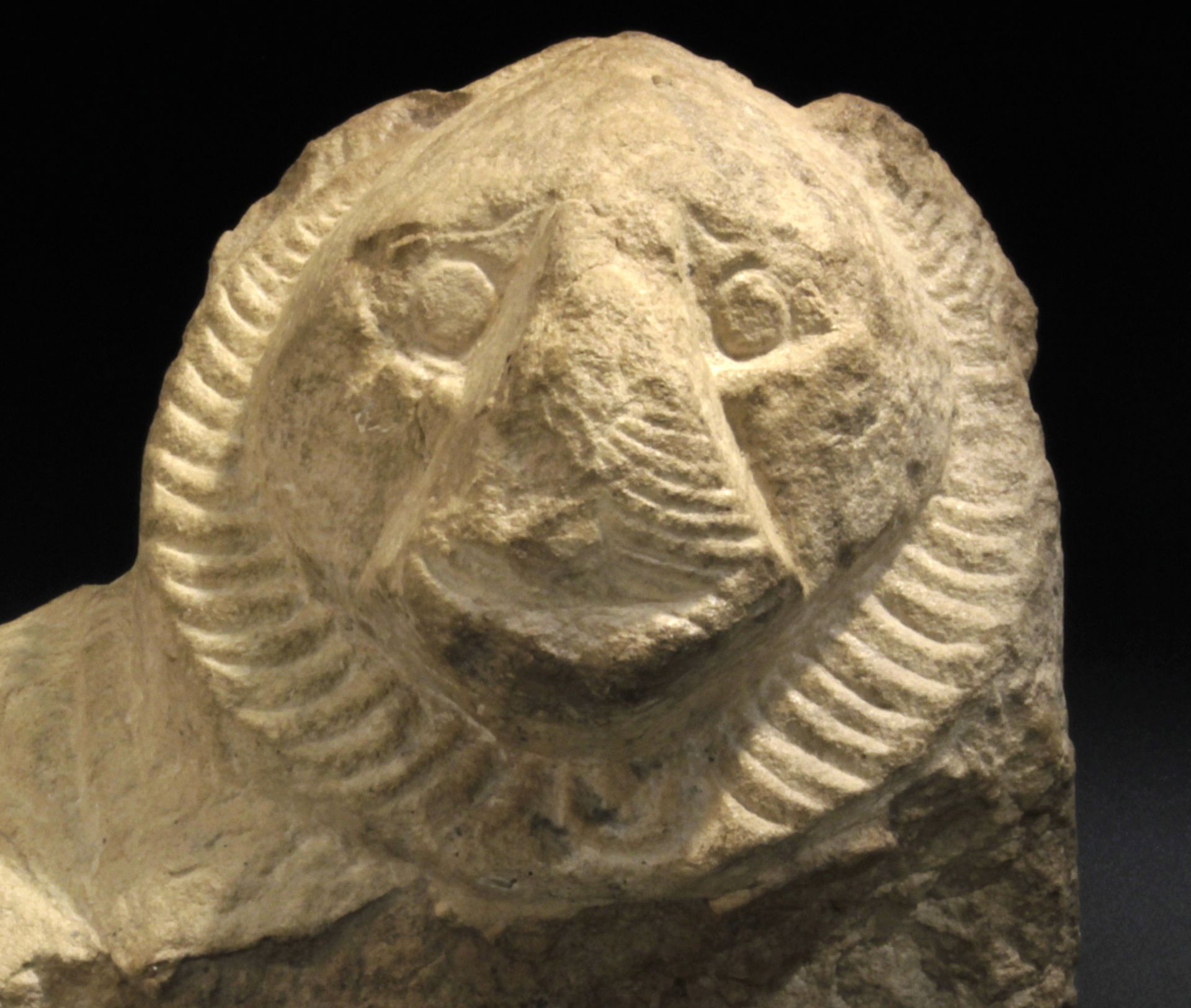 3rd-2nd centuries B. C. greek-egyptian lion sculpture fragment - Bild 2 aus 6