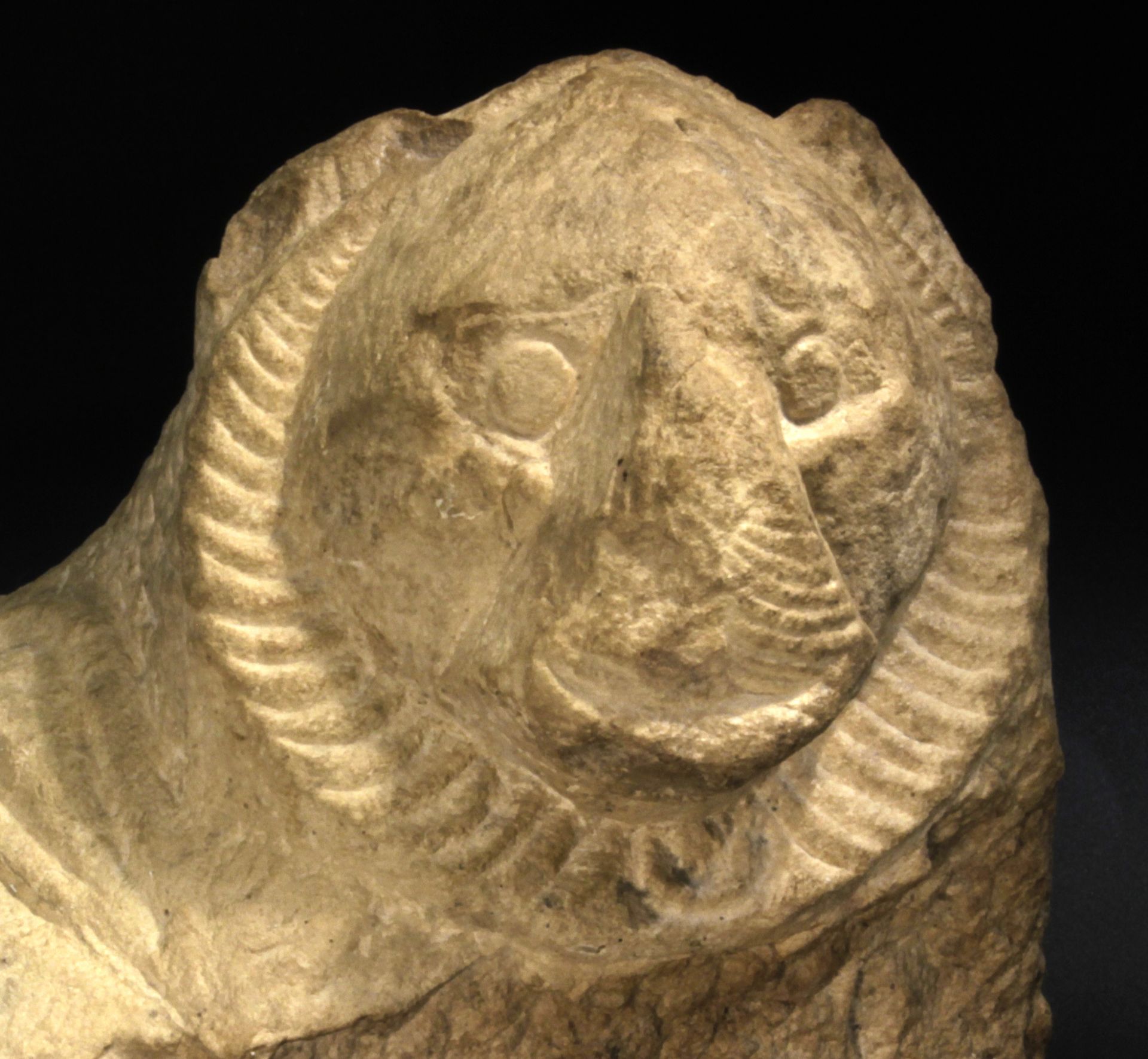 3rd-2nd centuries B. C. greek-egyptian lion sculpture fragment - Bild 3 aus 6