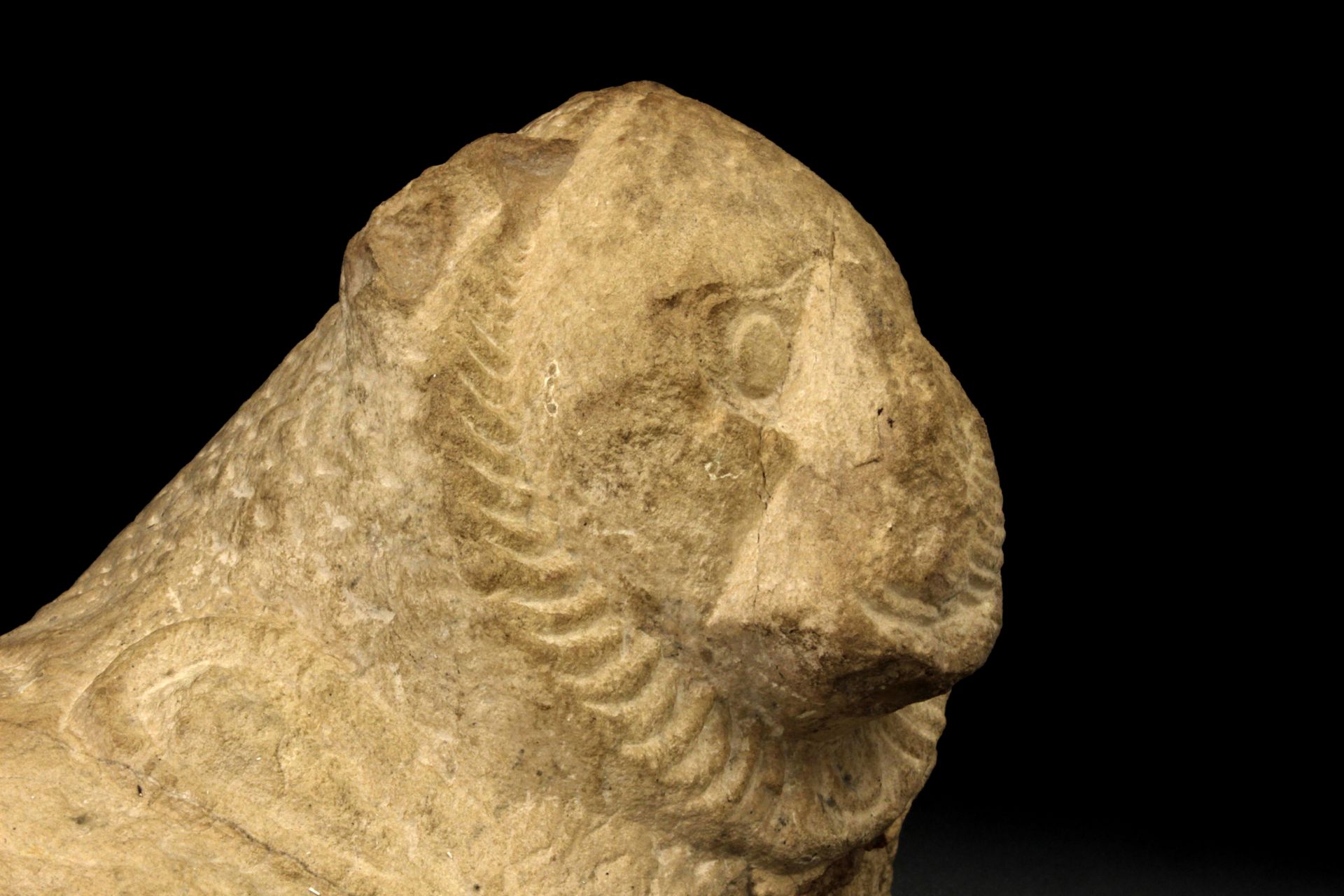 3rd-2nd centuries B. C. greek-egyptian lion sculpture fragment - Bild 5 aus 6