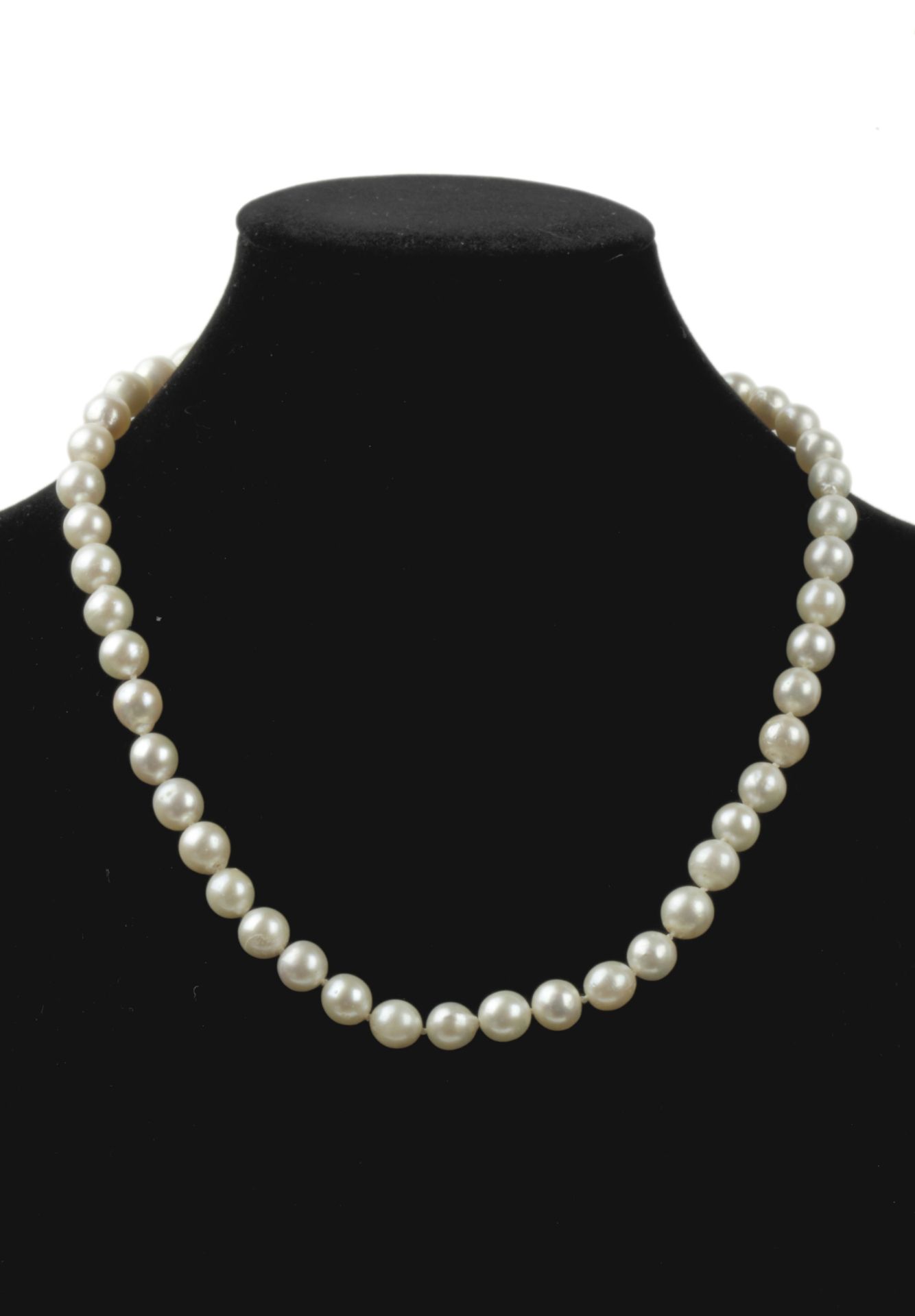 Cultured pearls necklace with an 18k yellow gold clasp