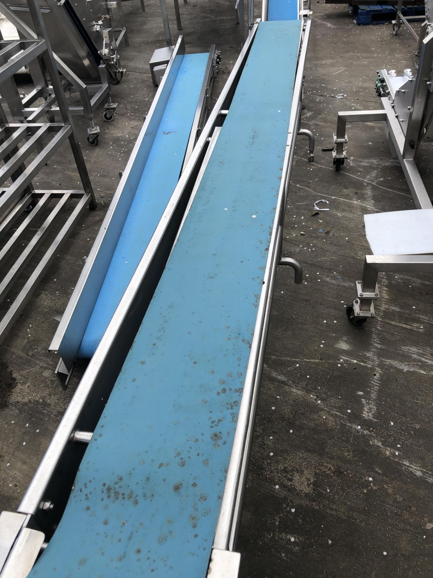 Cougar Food Machinery Plastic Belt Conveyor - Bild 2 aus 3