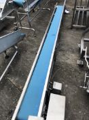Finis Plastic Belt Conveyor