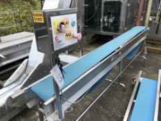 Cougar Food Machinery Plastic Belt Conveyor