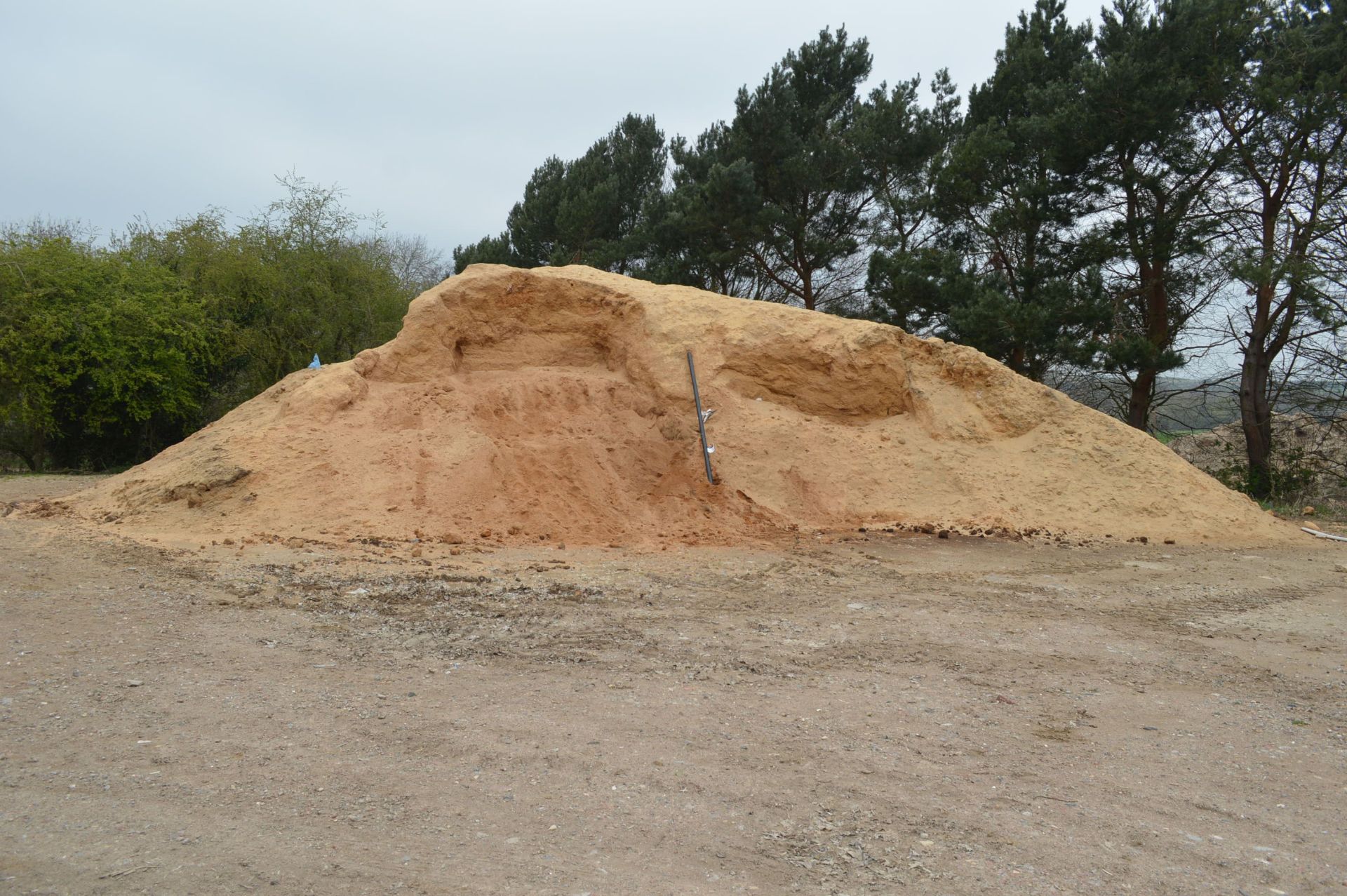 Sawdust, in one stack (all to be cleared) - Image 2 of 5