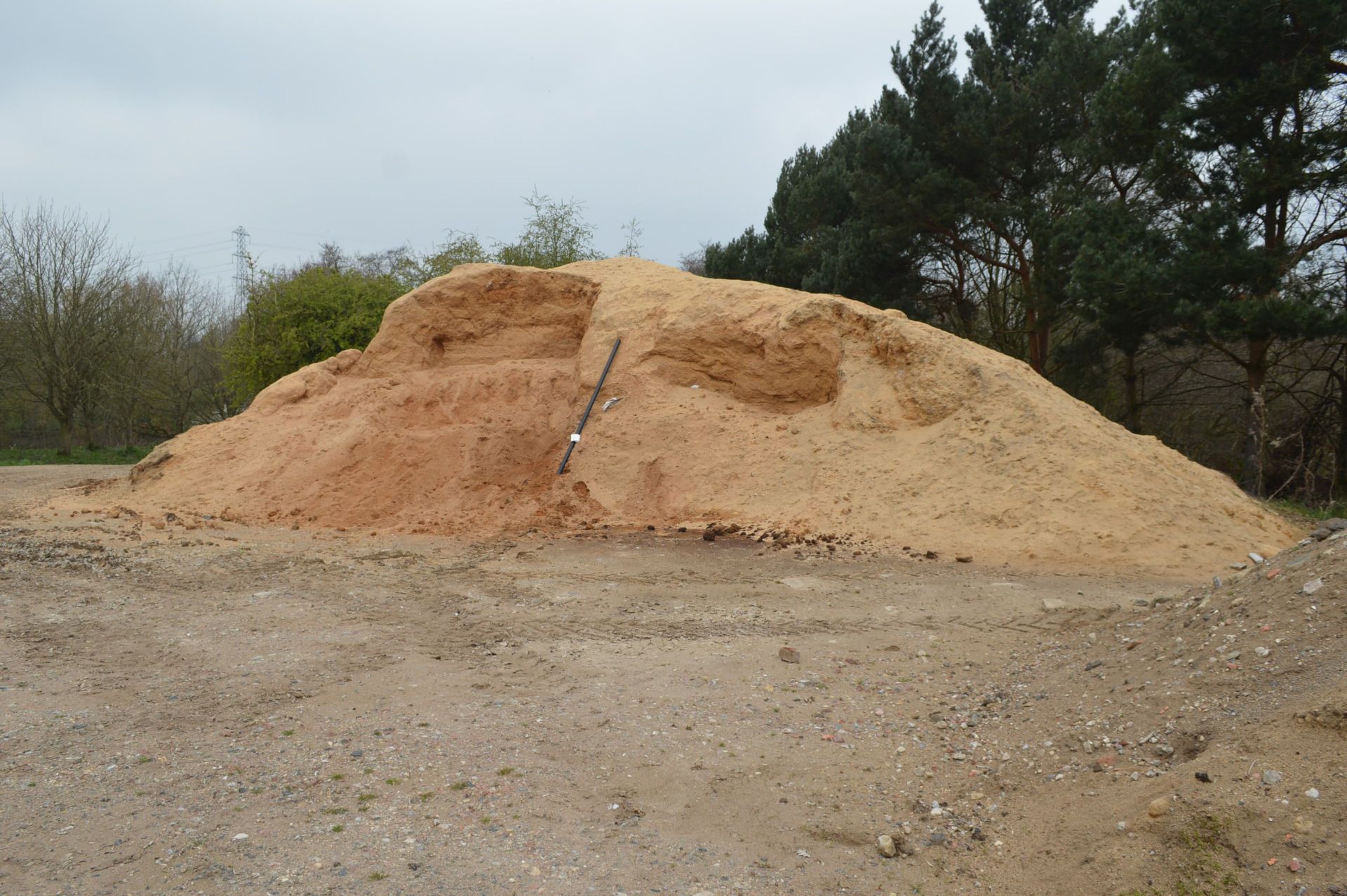 Sawdust, in one stack (all to be cleared)