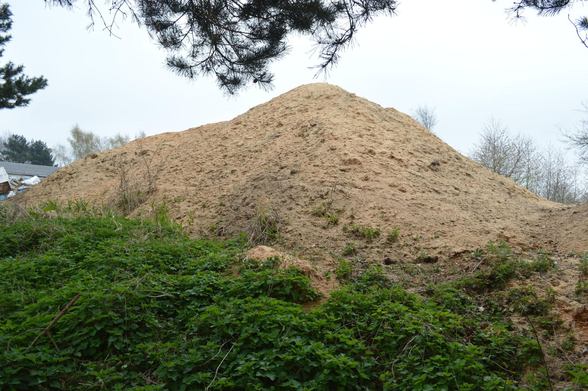 Sawdust, in one stack (all to be cleared) - Image 5 of 5