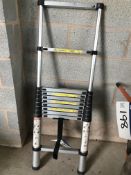 Collapsible Surveying Ladder, as set out against wall
