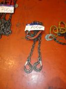 Two 2t Twin Leg Lifting Chains