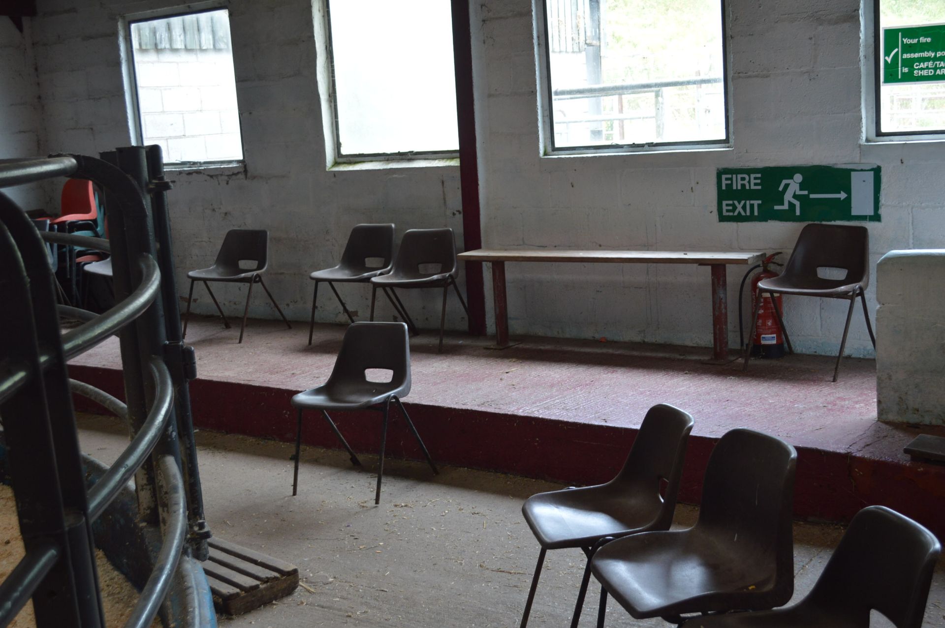 Approx. 50 Plastic Stackable Chairs - Image 6 of 7