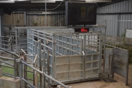 GALVANISED STEEL LOADCELL LIVESTOCK 4000KG CAP. WEIGHBRIDGE, year of manufacture 2017, with